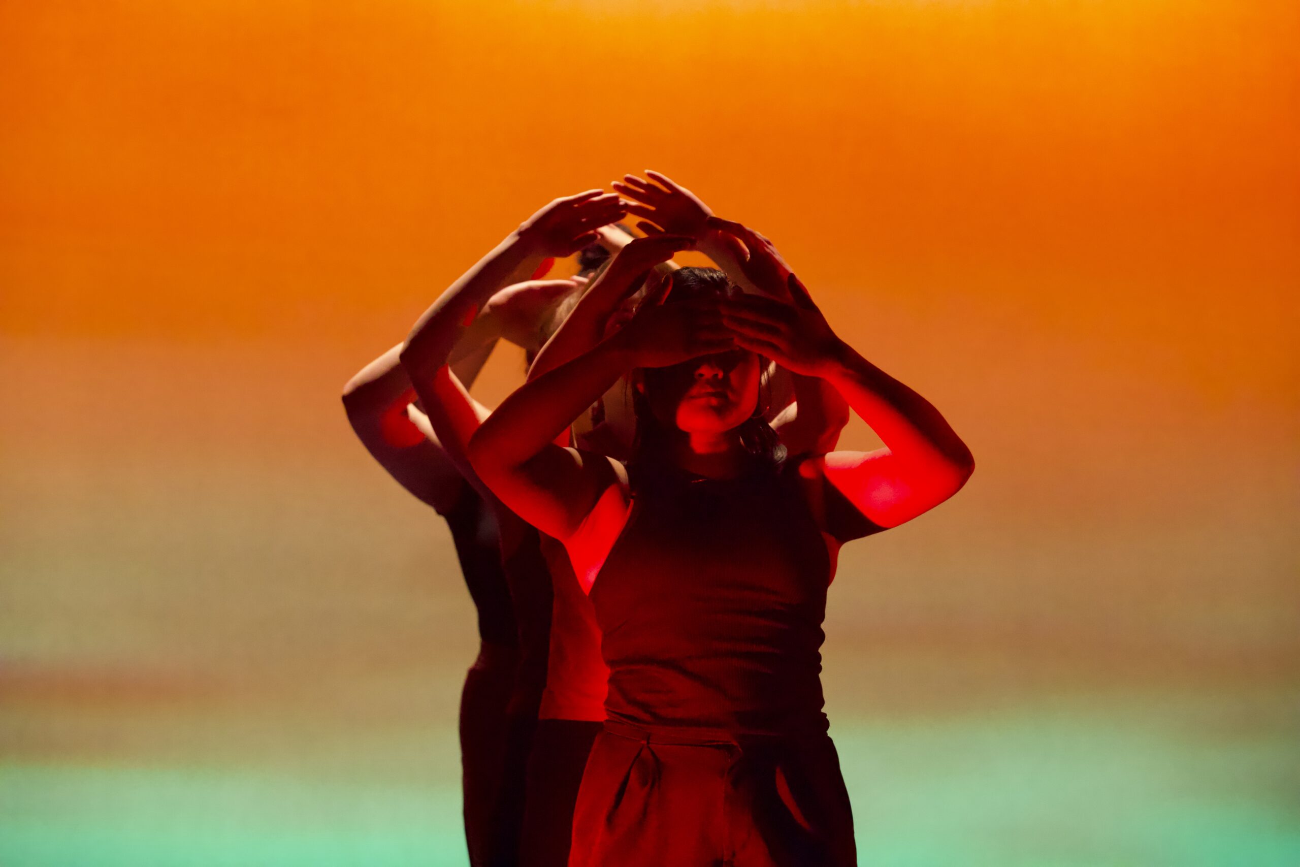 Dance Literacy: What Can Movement Teach Us About Our Writing, Our History, and Ourselves?